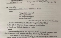 Tranh cãi 'nảy lửa' đề thi ngữ văn vào lớp 10 ở Bình Thuận