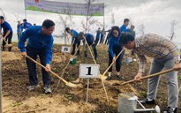 Bình Thuận: Khởi động chiến dịch Thanh niên tình nguyện hè 2022 tại đảo Phú Quý