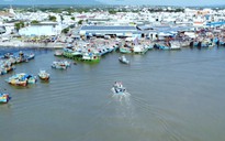 Bình Thuận: Nỗ lực tìm kiếm 2 ngư dân mất tích vụ chìm tàu cá
