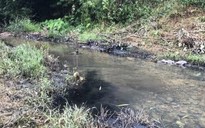 Nước sạch Hà Nội nặng mùi hóa chất: Giấu giếm sự cố dầu thải tràn ở đầu nguồn?