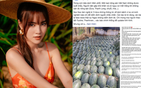 Ninh Dương Lan Ngọc kêu gọi 'giải cứu' nông sản giữa đại dịch Corona