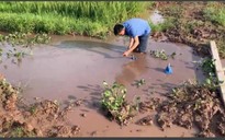 Thiệt hại liên quan sự cố đấu nối đường ống tạm Nhà máy nước sạch Phú Mỹ Tân vẫn bỏ ngỏ