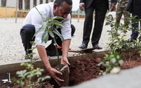 Ethiopia trồng 350 triệu cây trong một ngày để chống biến đổi khí hậu