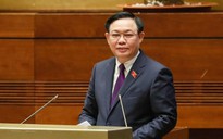 Quốc hội sẽ nghiên cứu báo cáo về vụ Việt Á