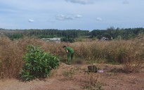 Bình Phước: Phát hiện thi thể người đàn ông trong bãi đất trống