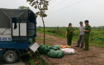 Nam Định bắt 600 kg nội tạng không rõ nguồn gốc