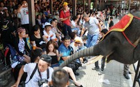 Du khách Việt đến Thái Lan tăng 17,39%