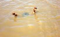 Rơi xuống đầm tôm, hai học sinh chết đuối
