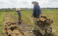 Chính quyền 'bật đèn xanh' cho dân đào đất ruộng