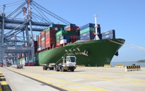 Hệ thống cảng Thị Vải - Cái Mép mới chỉ khai thác 18% công suất