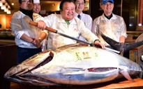 Chủ nhà hàng chi hơn 117.000 USD mua một con cá ngừ