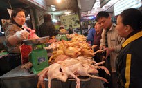 Mở cửa cho gà Trung Quốc tràn vào: Mối lo thịt 'rác'