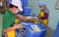 Đà Nẵng: Hàng ngàn cơ sở kinh doanh ăn uống không đạt chuẩn