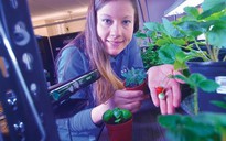 Nữ sinh chế robot làm vườn giúp trồng rau trên sao hỏa