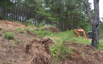Truy tìm người phân lô đất rừng bán cho dân xây nhà trái phép