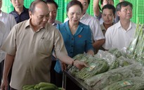 Thủ tướng thăm dự án nông nghiệp công nghệ cao VinEco Hải Phòng