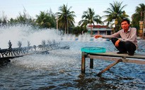 Bạc Liêu sẽ thành trung tâm công nghiệp tôm cả nước