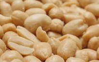Việt Nam dừng nhập khẩu nông sản nhiễm mọt