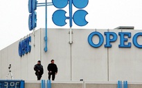 Nga hợp tác OPEC vực dậy giá dầu: Lý trí thắng thế