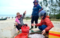 Ngư dân Quảng Trị trúng 'lộc biển' cá khoai
