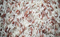 Gạo lứt và gạo trắng khác nhau ra sao?