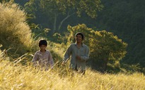 Điện ảnh Việt nhìn từ Cánh diều vàng