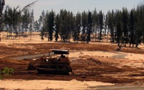 Vụ chưa có quyết định giao đất đã dọn rừng phòng hộ: Tỉnh Phú Yên “chữa cháy”?