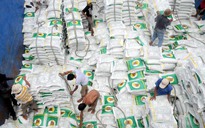 'Sóng ngầm' xuất khẩu gạo