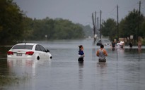 Người Việt ở Texas điêu đứng vì bão lũ