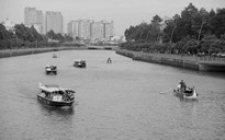 Bảo vệ nguồn cá ở dòng kênh xanh mát giữa Sài Gòn