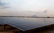 Khánh thành nhà máy điện năng lượng mặt trời công suất 100 MW