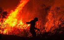 Indonesia cầu mưa chữa cháy rừng