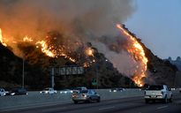 Cháy rừng tàn phá California