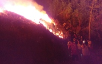 Cả trăm người dân nỗ lực cứu rừng trồng cháy dữ dội trong đêm