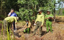 Khởi tố vụ khai thác gỗ trái phép ở Bảo Lâm