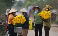 Mong Hà Nội mãi bình yên cổ kính