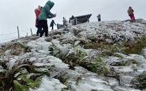 Băng giá, mưa tuyết gây nhiều thiệt hại ở vùng cao phía bắc