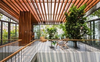 Võ Trọng Nghĩa chinh phục thêm giải thưởng quốc tế