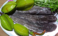 Hương vị quê hương: Chua ngọt cá ngát um khế