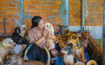 Người phụ nữ dựng trại giữa đồng cứu cả trăm con chó, mèo
