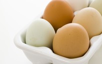 Trứng gà màu nâu và trắng: Loại nào tốt hơn?