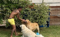 Tiền đạo Neymar rèn thể lực với cún cưng