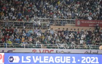 Người hâm mộ bóng đá TP.HCM đón tin cực vui trước thềm V-League trở lại