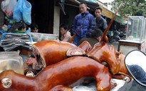 Nghị sĩ Anh dọa tẩy chay du lịch Việt Nam vì thịt cầy