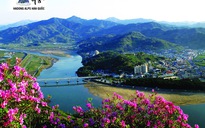 Vẻ đẹp của các thành phố Hàn Quốc ít du khách Việt biết đến