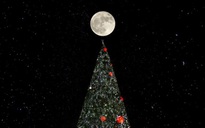 Lý thú trăng tròn ngày Giáng sinh