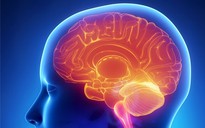 Quân đội Mỹ nghiên cứu cấy chip kết nối máy tính vào não