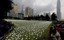 Lung linh 25.000 hoa hồng LED sáng rực ở Hồng Kông