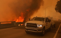 Tổng thống Trump tuyên bố tình trạng thảm họa do cháy rừng ở California