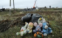 6 tháng sau sự kiện MH17 và nỗi đau người ở lại